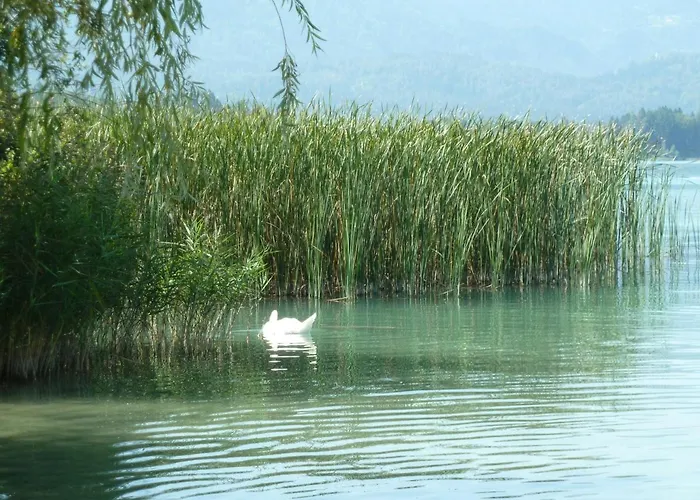 Maison d'hôtes Gaestehaus Wulz-lesjak